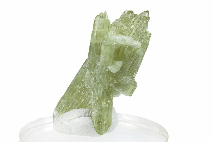 Lustrous Vesuvianite Crystal Cluster - Jeffrey Mine, Canada #287061